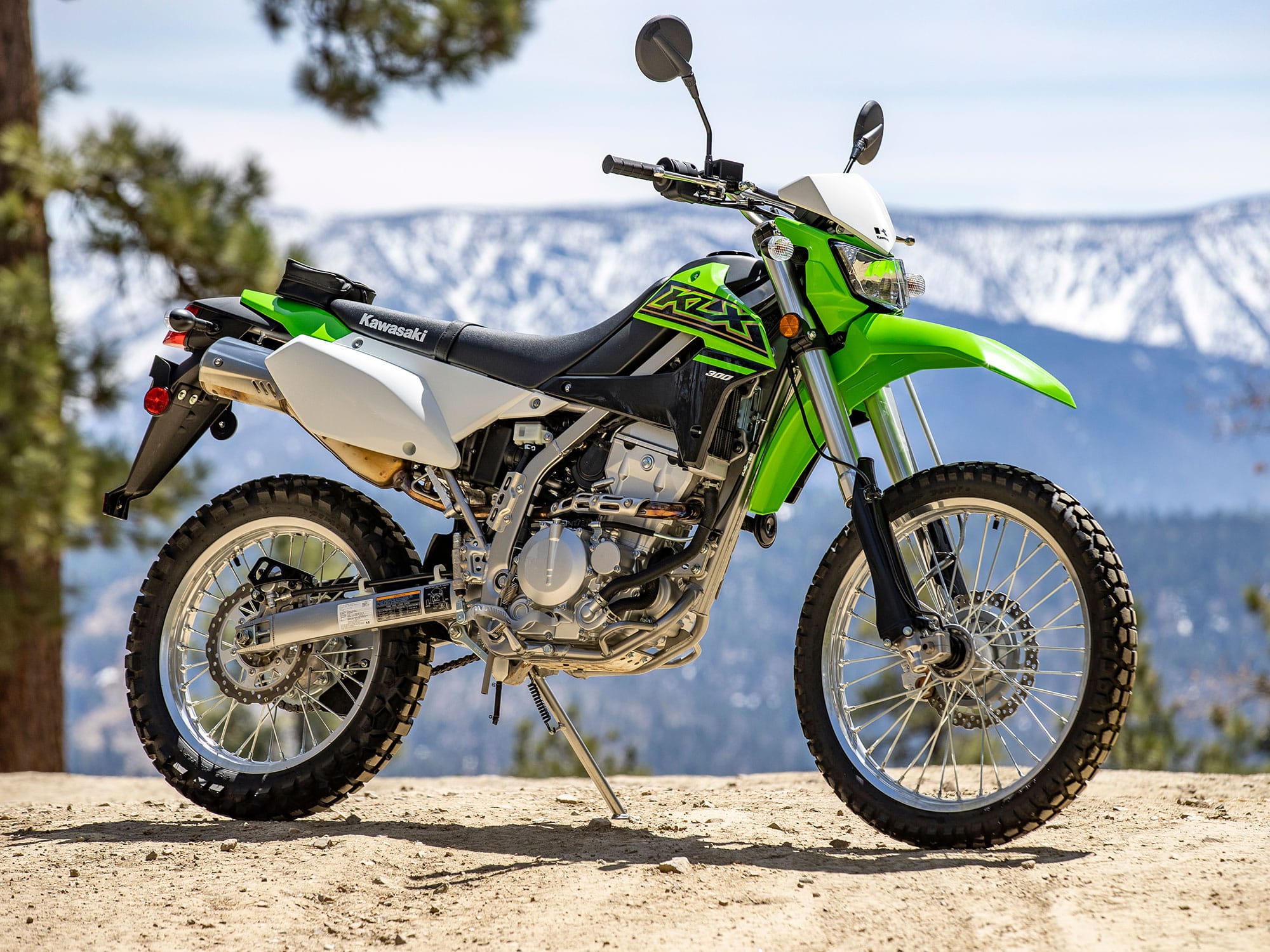 Kawasaki KLX300